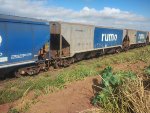 RUMO HPT-031854-0
